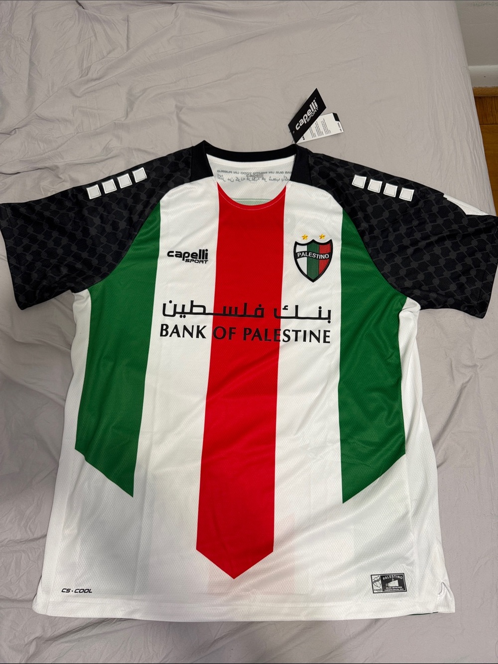 Club Deportivo Palestino Men’s Football Jersey - 25/26 Green/White/Red/Black